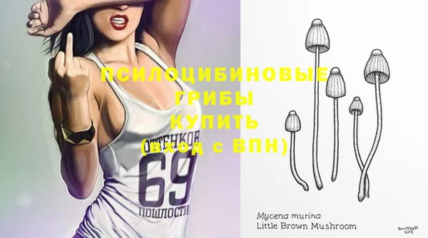 прущие крисы Армянск