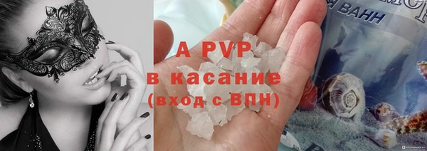 молекула духа Арсеньев