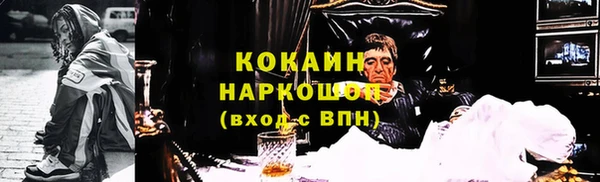 молекула духа Арсеньев