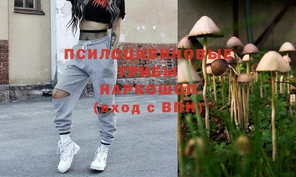 молекула духа Арсеньев