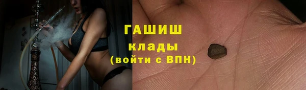 молекула духа Арсеньев