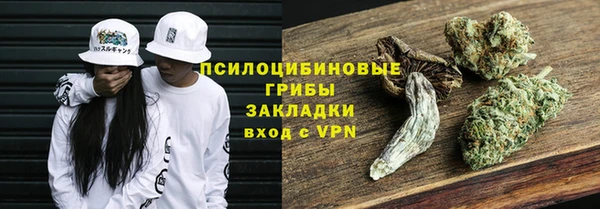 прущие крисы Армянск
