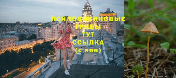 прущие крисы Армянск