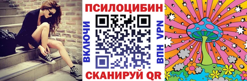 дарнет шоп MEGA tor Псилоцибиновые грибы ЛСД это телеграм Приозерск